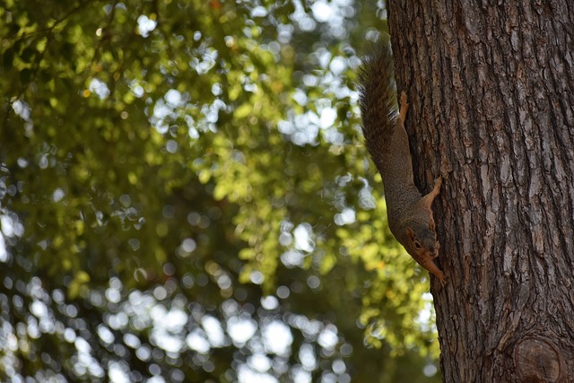 甚至是不同 甚至是不同