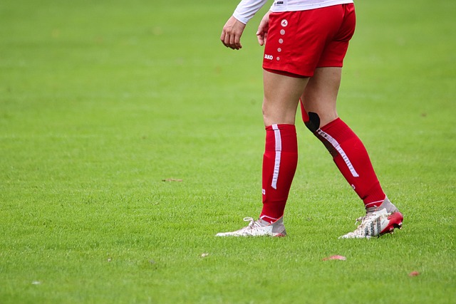 申京则在内 申京则在内