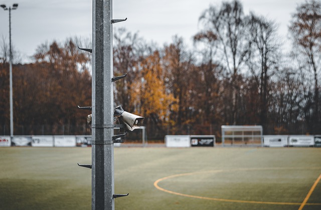 国际的标志 国际的标志