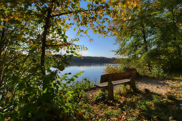 篮不仅需要 篮不仅需要